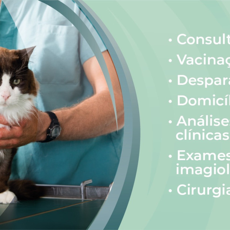 CalPet - Clínica Veterinária